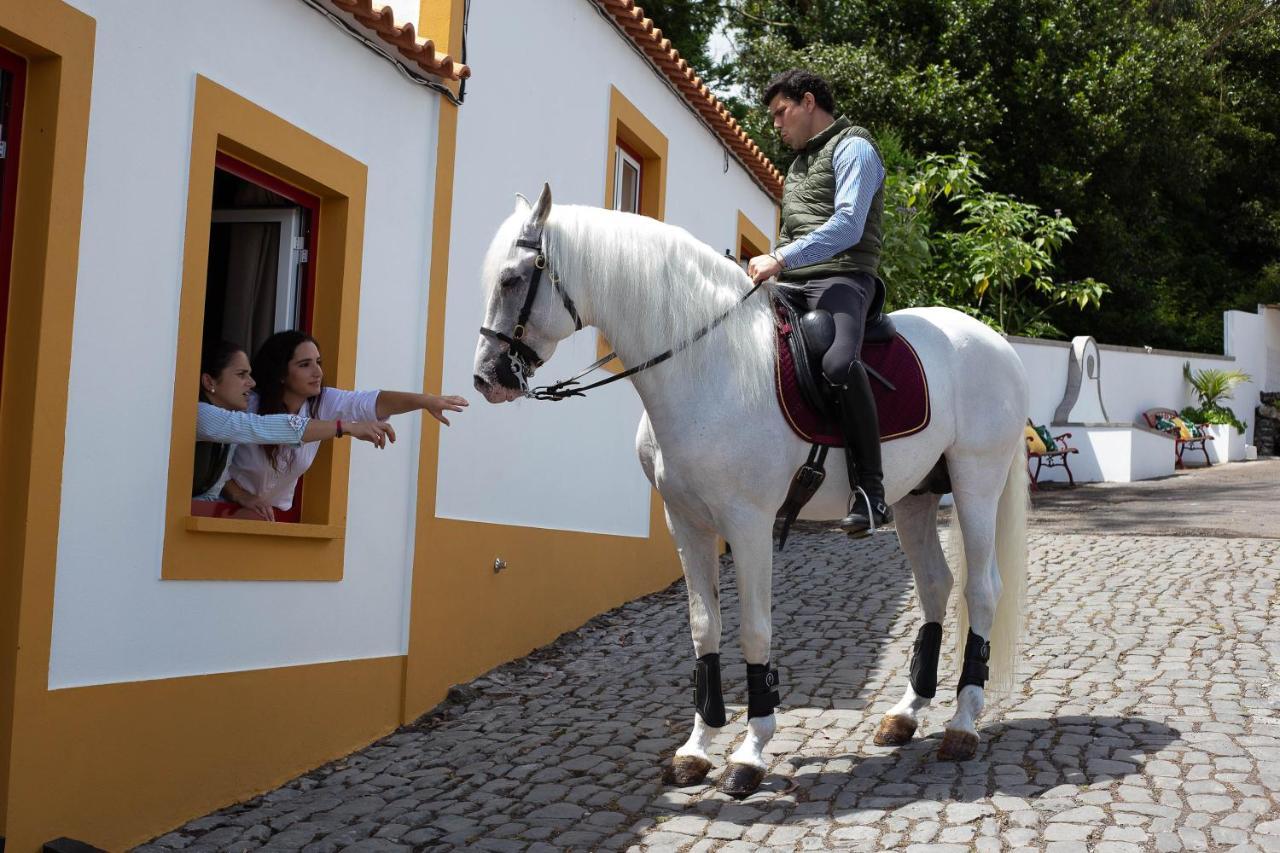 Quinta Do Malhinha- Turismo Angra do Heroísmo