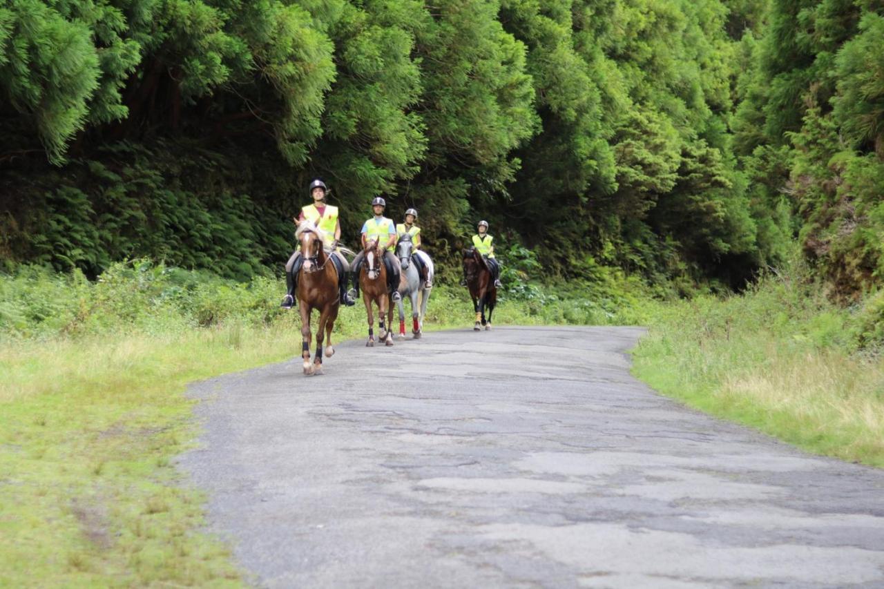 Quinta Do Malhinha- Turismo Chalet *