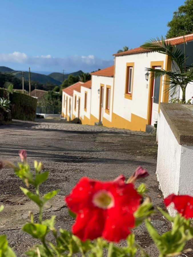 Quinta Do Malhinha- Turismo *